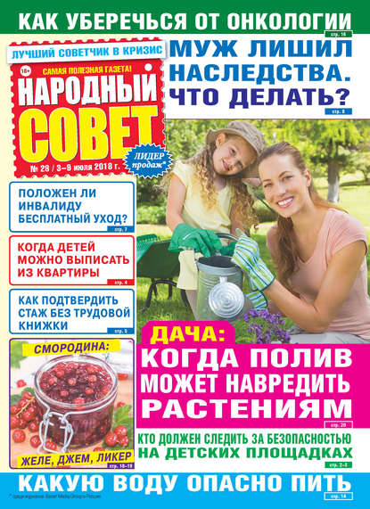 Скачать книгу Народный совет №28/2018