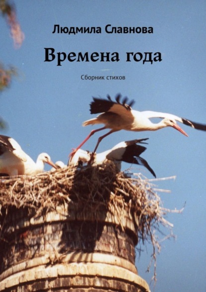 Скачать книгу Времена года. Сборник стихов