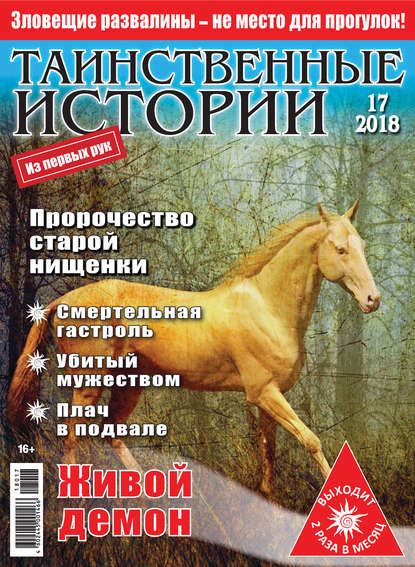 Скачать книгу Таинственные истории №17/2018