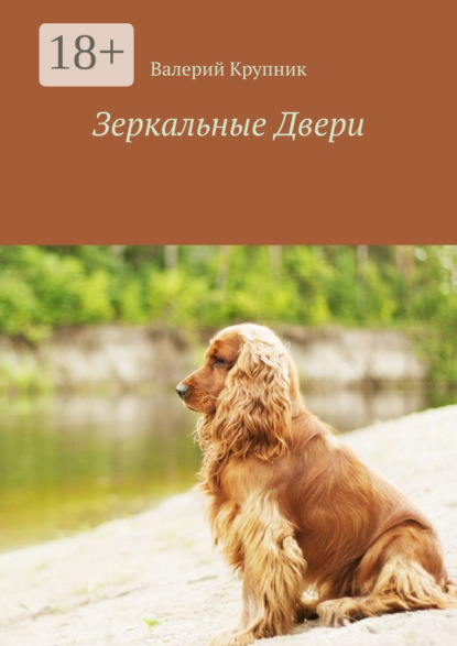 Скачать книгу Зеркальные Двери