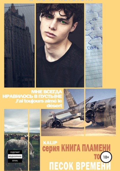 Скачать книгу Песок времени. Том 2. Книга пламени