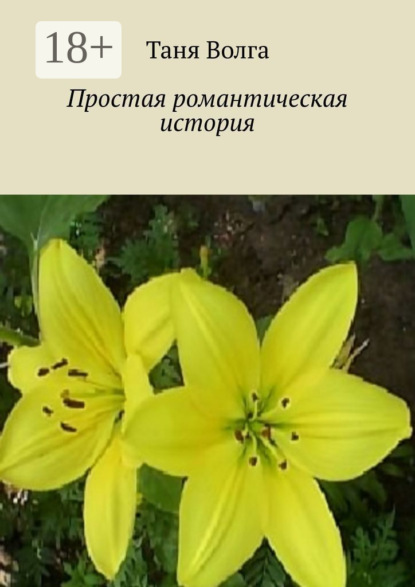 Скачать книгу Простая романтическая история