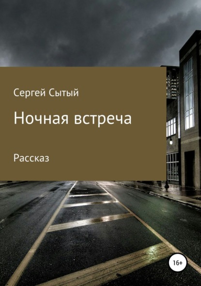 Скачать книгу Ночная встреча