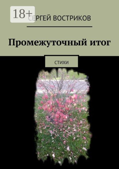 Промежуточный итог. Стихи