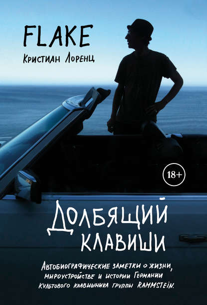 Скачать книгу Долбящий клавиши