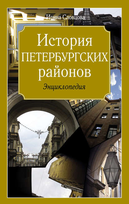 Скачать книгу История петербургских районов