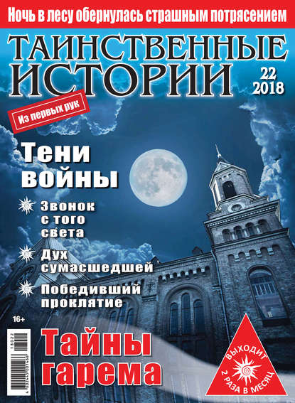 Скачать книгу Таинственные истории №22/2018