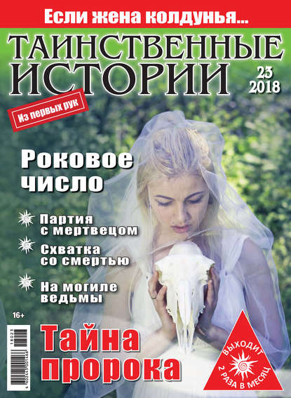 Скачать книгу Таинственные истории №23/2018