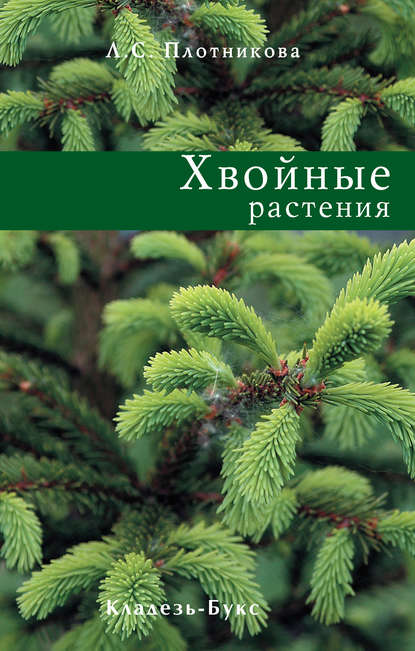 Скачать книгу Хвойные растения