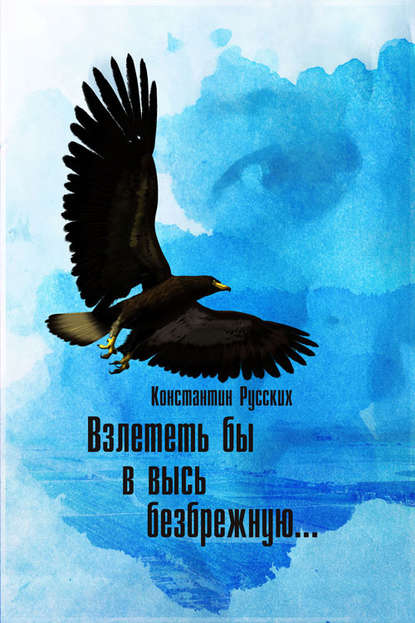 Скачать книгу Взлететь бы в высь безбрежную: Стихи и песни