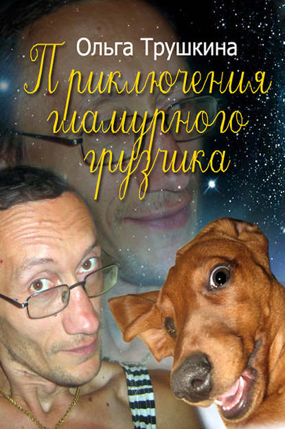 Скачать книгу Приключения гламурного грузчика