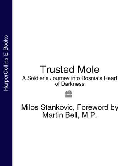 Скачать книгу Trusted Mole: A Soldier’s Journey into Bosnia’s Heart of Darkness