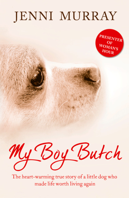 Скачать книгу My Boy Butch: The heart-warming true story of a little dog who made life worth living again