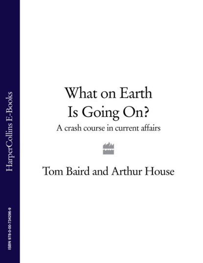 Скачать книгу What on Earth is Going On?: A Crash Course in Current Affairs