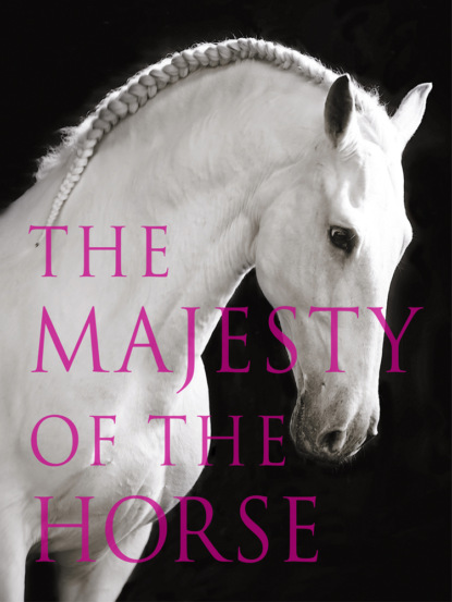Скачать книгу The Majesty of the Horse: An Illustrated History