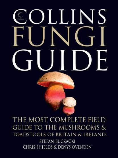 Скачать книгу Collins Fungi Guide: The most complete field guide to the mushrooms and toadstools of Britain & Ireland