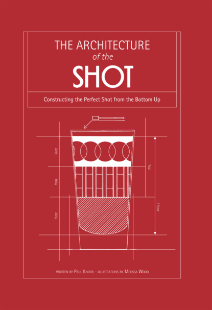 Скачать книгу Architecture of the Shot: Constructing the Perfect Shots and Shooters from the Bottom Up