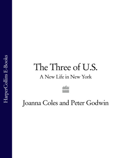 Скачать книгу The Three of U.S.: A New Life in New York