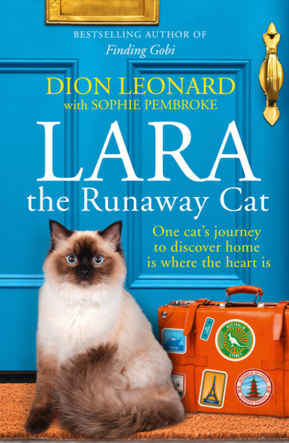 Скачать книгу Lara The Runaway Cat: One cat’s journey to discover home is where the heart is