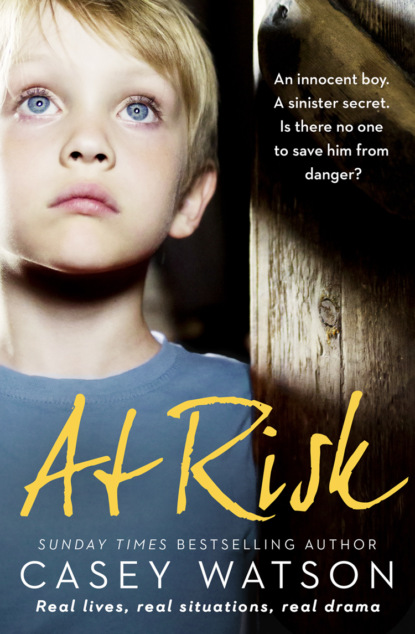 Скачать книгу At Risk: An innocent boy. A sinister secret. Is there no one to save him from danger?