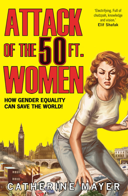 Скачать книгу Attack of the 50 Ft. Women: How Gender Equality Can Save The World!