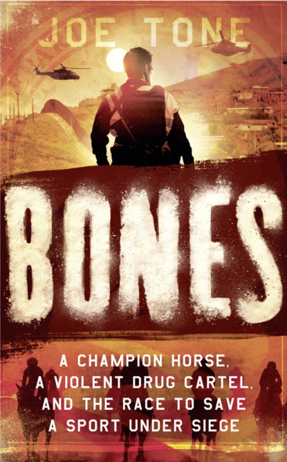 Скачать книгу Bones: A Story of Brothers, a Champion Horse and the Race to Stop America’s Most Brutal Cartel