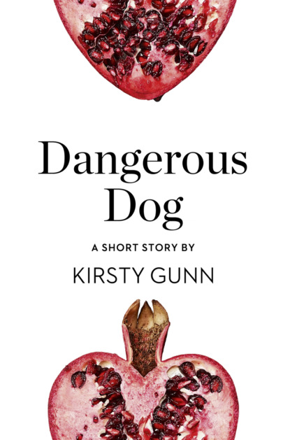 Скачать книгу Dangerous Dog: A Short Story from the collection, Reader, I Married Him