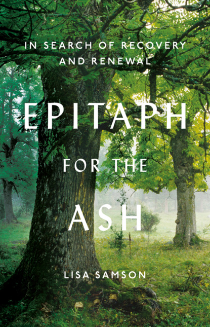 Скачать книгу Epitaph for the Ash: In Search of Recovery and Renewal