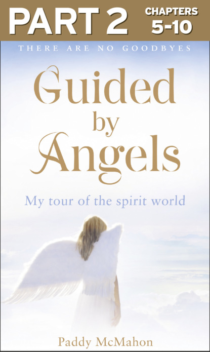 Скачать книгу Guided By Angels: Part 2 of 3: There Are No Goodbyes, My Tour of the Spirit World