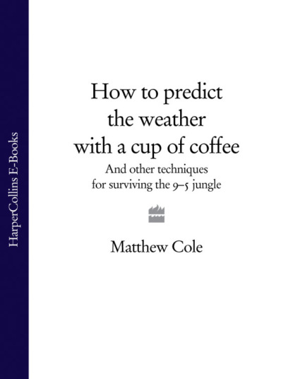 Скачать книгу How to predict the weather with a cup of coffee: And other techniques for surviving the 9–5 jungle