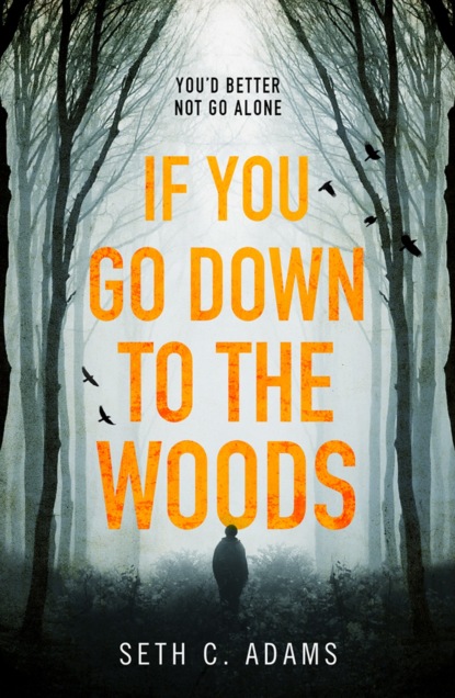 Скачать книгу If You Go Down to the Woods: The most powerful and emotional debut thriller of 2018!