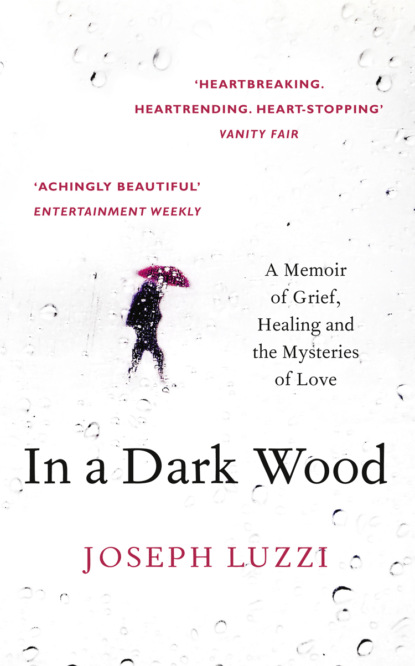 Скачать книгу In a Dark Wood: What Dante Taught Me About Grief, Healing, and the Mysteries of Love