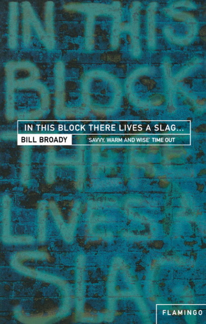 Скачать книгу In This Block There Lives a Slag…: And Other Yorkshire Fables