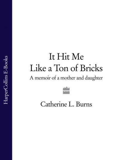 Скачать книгу It Hit Me Like a Ton of Bricks: A memoir of a mother and daughter