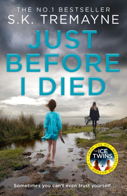 Скачать книгу Just Before I Died: The gripping new psychological thriller from the bestselling author of The Ice Twins