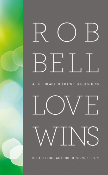 Скачать книгу Love Wins: At the Heart of Life’s Big Questions