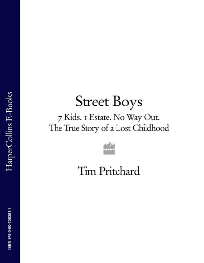 Скачать книгу Street Boys: 7 Kids. 1 Estate. No Way Out. The True Story of a Lost Childhood