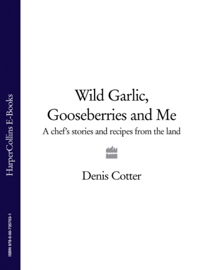 Скачать книгу Wild Garlic, Gooseberries and Me: A chef’s stories and recipes from the land