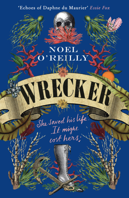 Скачать книгу Wrecker: A gripping debut for fans of Poldark and the Essex Serpent