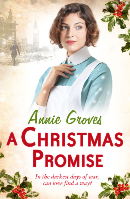 Скачать книгу A Christmas Promise