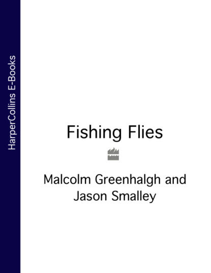 Скачать книгу Fishing Flies