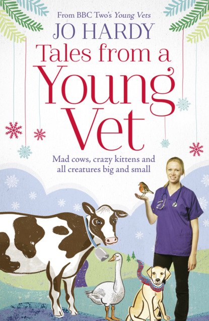 Скачать книгу Tales from a Young Vet: Mad cows, crazy kittens, and all creatures big and small