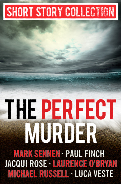 Скачать книгу The Perfect Murder: Spine-chilling short stories for long summer nights