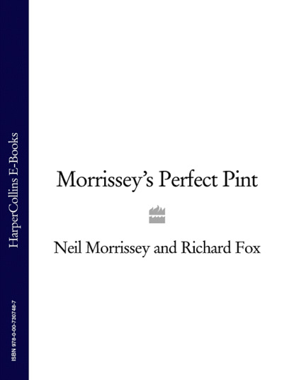 Скачать книгу Morrissey’s Perfect Pint