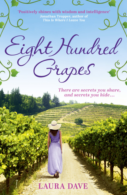 Скачать книгу Eight Hundred Grapes: a perfect summer escape to a sun-drenched vineyard