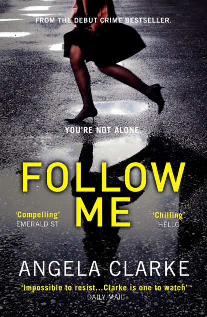 Скачать книгу Follow Me: The bestselling crime novel terrifying everyone this year
