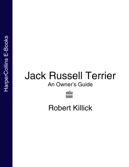 Скачать книгу Jack Russell Terrier: An Owner’s Guide