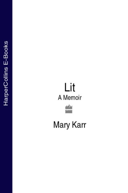 Скачать книгу Lit: A Memoir