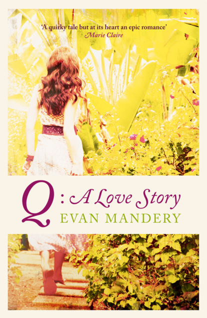 Скачать книгу Q: A Love Story