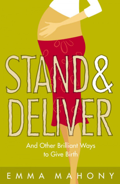 Stand and Deliver!: And other Brilliant Ways to Give Birth